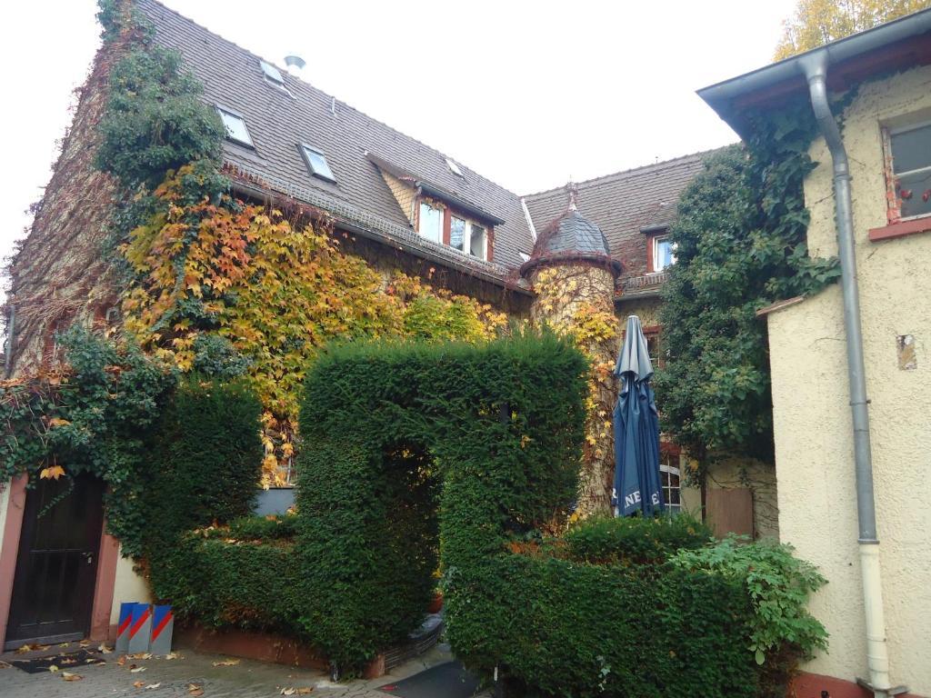 Hotel Burg-Stuben Mainz Exteriör bild
